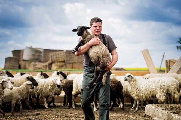 Stefan trägt ein Schaf